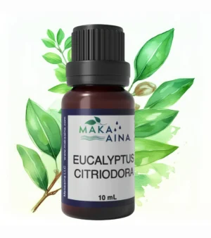 Eucalyptus Citriodora Bottle