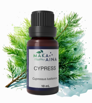 cypress